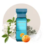 125 - Olfazeta smaržas Mediterraneo 50ml